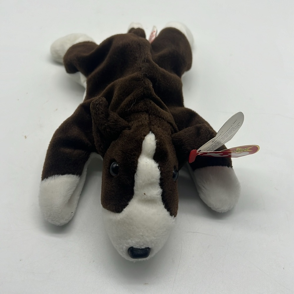 TY Beanie Bellies BRUNO the 6” Plush Retired‎ Stuffed Animal Toy